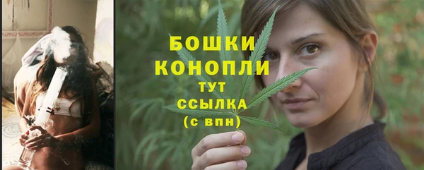прущие крисы Бородино