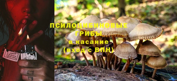 прущие крисы Бородино