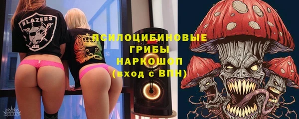 прущие крисы Бородино