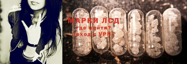 прущие крисы Бородино